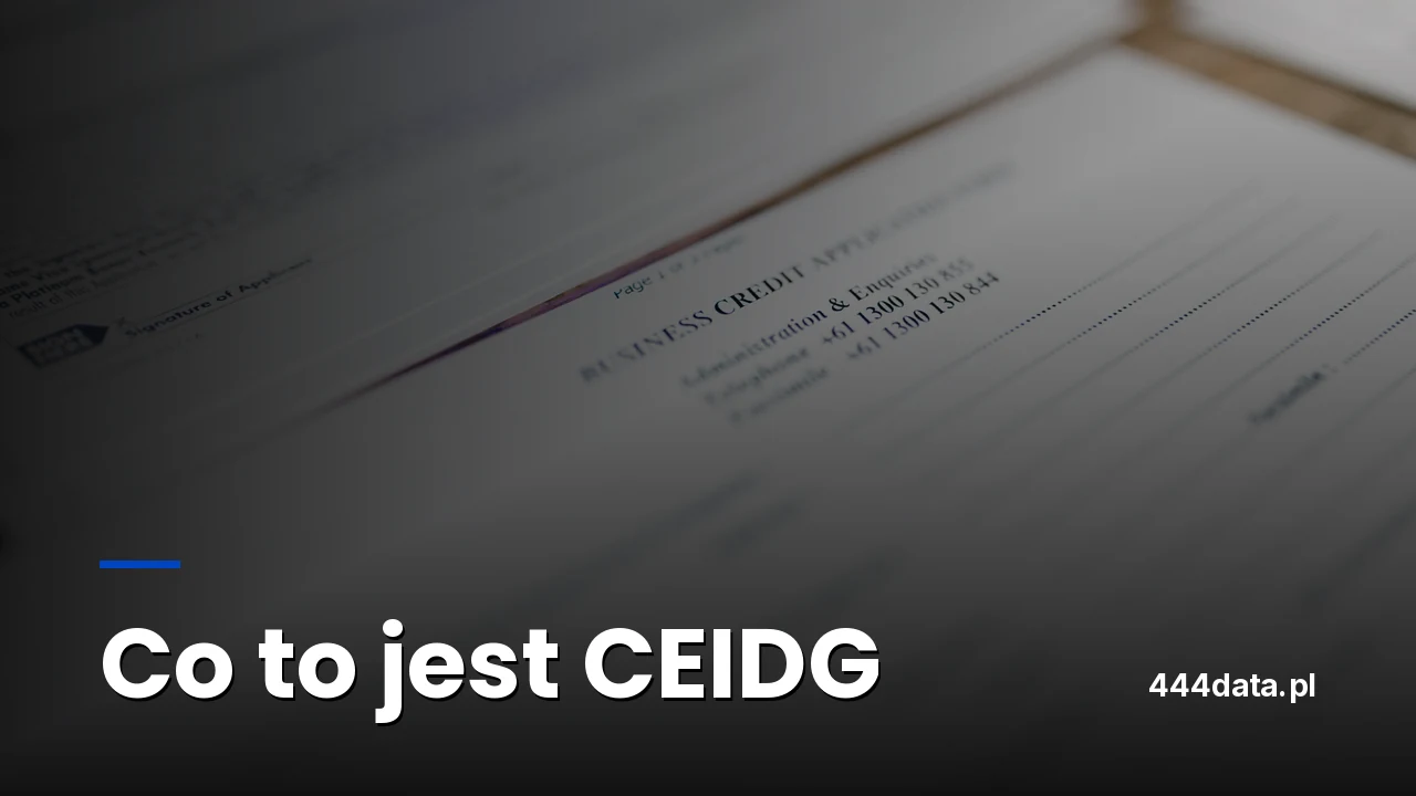 Co to jest CEIDG i jak korzystać z bazy nowych firm w Polsce